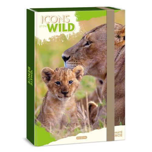 Ars Una Máté Bence Icons of the Wild-Lions A/4 füzetbox