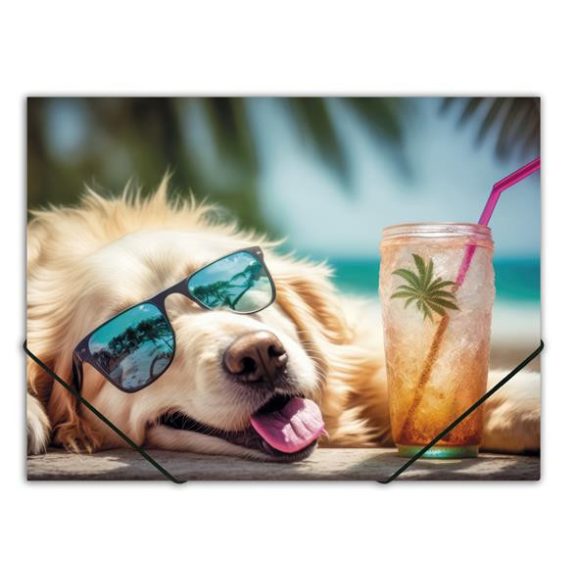 Gumis mappa, 15 mm, PP, A4, PANTA PLAST, "Chillout dog" Gumis mappa, 15 mm, PP, A4, PANTA PLAST, "Chillout dog"