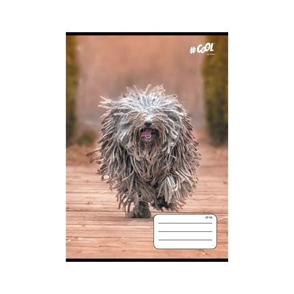 Füzet, tűzött, A5, kockás, 32 lap, COOL BY VICTORIA, "Dogs", 27-32 Füzet, tűzött, A5, kockás, 32 lap, COOL BY VICTORIA, "Dogs", 27-32