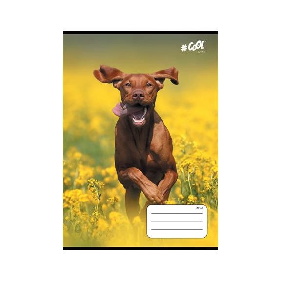 Füzet, tűzött, A5, kockás, 32 lap, COOL BY VICTORIA, "Dogs", 27-32 Füzet, tűzött, A5, kockás, 32 lap, COOL BY VICTORIA, "Dogs", 27-32