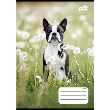   Füzet, tűzött, A5, kockás, 32 lap, COOL BY VICTORIA "B&W dogs", "27-32"