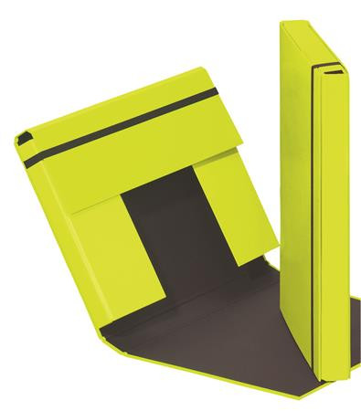 Füzetbox, A4, 40 mm, karton, PAGNA "Trend", lime zöld