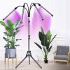Növénynevelő Lámpa – 4 LED panel állvánnyal, időzítővel és távirányítóval, Gardlov