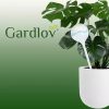 Öntözőgömb készlet – 8 db, 280 ml-es automata virág- és növénylocsoló, Gardlov