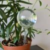 Öntözőgömb készlet – 8 db, 280 ml-es automata virág- és növénylocsoló, Gardlov