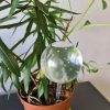 Öntözőgömb készlet – 8 db, 280 ml-es automata virág- és növénylocsoló, Gardlov