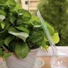 Öntözőgömb készlet – 8 db, 280 ml-es automata virág- és növénylocsoló, Gardlov