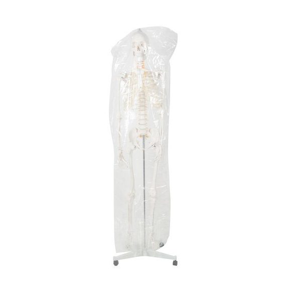 Emberi csontváz – 170 cm, Malatec