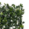 Műsövény Panel 60×40 cm – Sűrű Boxwood Hatású Zöld Fal, Gardlov