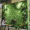 Műsövény Panel 60×40 cm – Sűrű Boxwood Hatású Zöld Fal, Gardlov